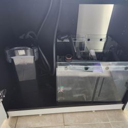 Big Filtration System For A Rimless FISH Tank