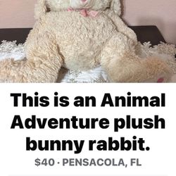 Adventure Plus Rabbit 