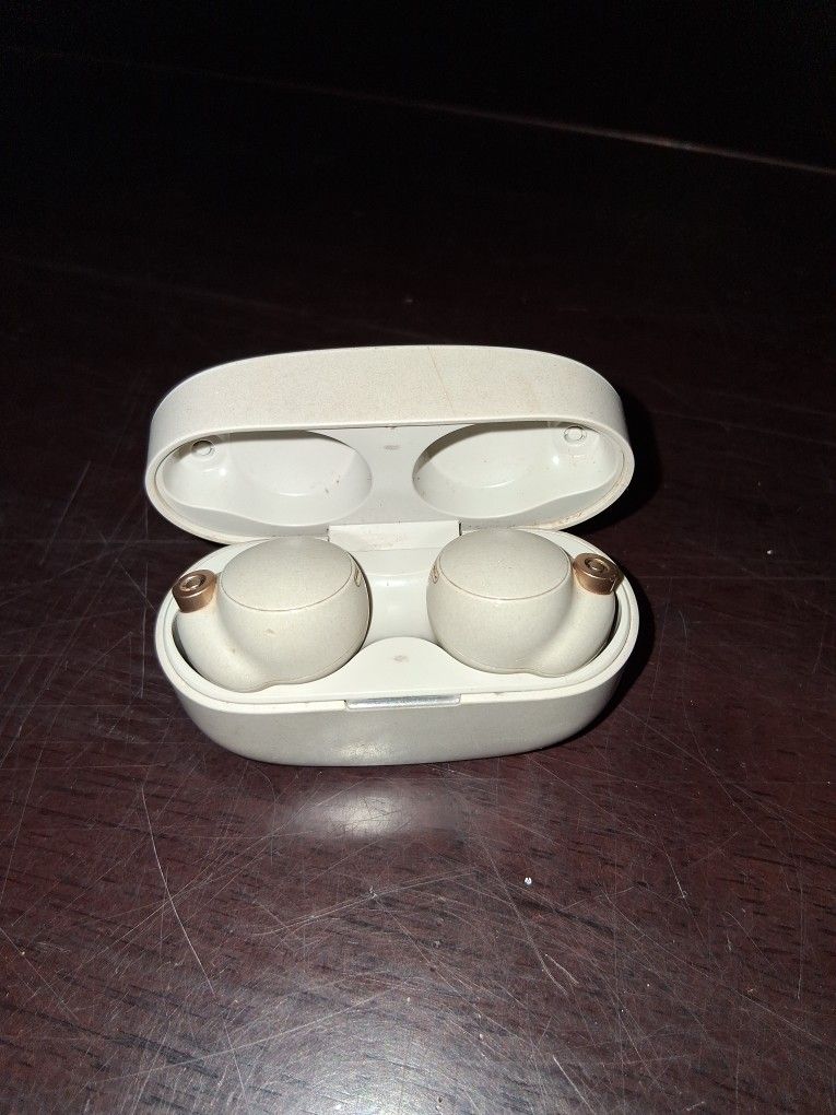 Sony Ear Buds
