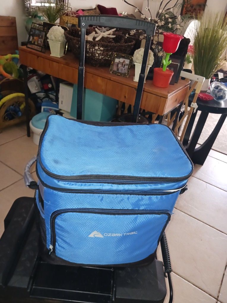 OZARK PORTABLE COOLER TOTE 20 FIRM PAID 120