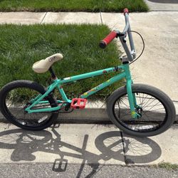 GT Performer 20.5 TT Box palm Edition