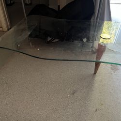 Modern Glass Top Coffee Table With Wooden Legs