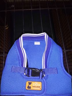 Dog Harness (Size M)