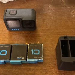 Go Pro Hero 11 +  3 Batteries + Charger