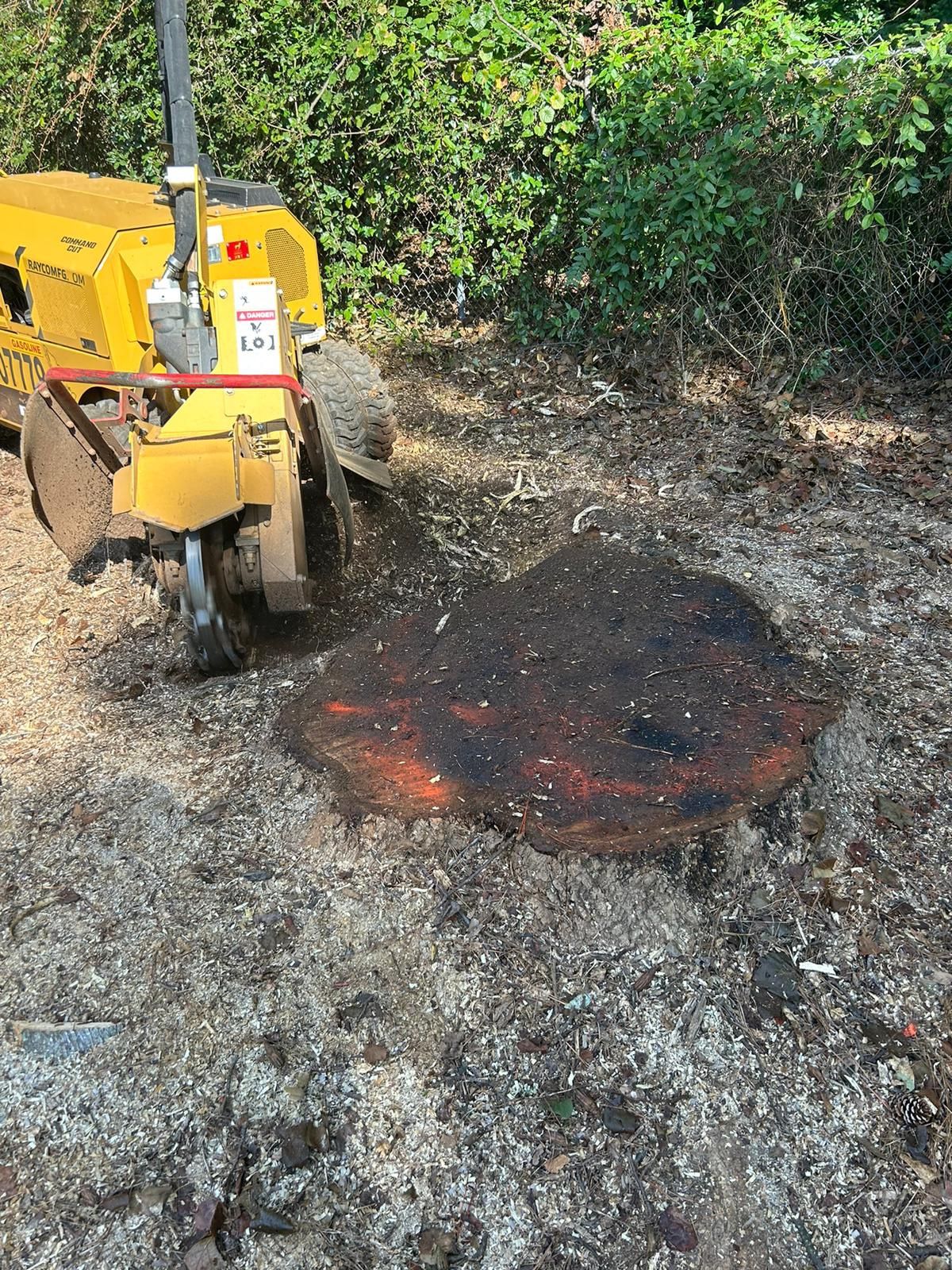 Stump Grinding