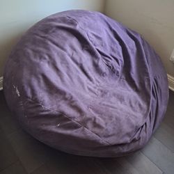 Large Bean Bag Chair