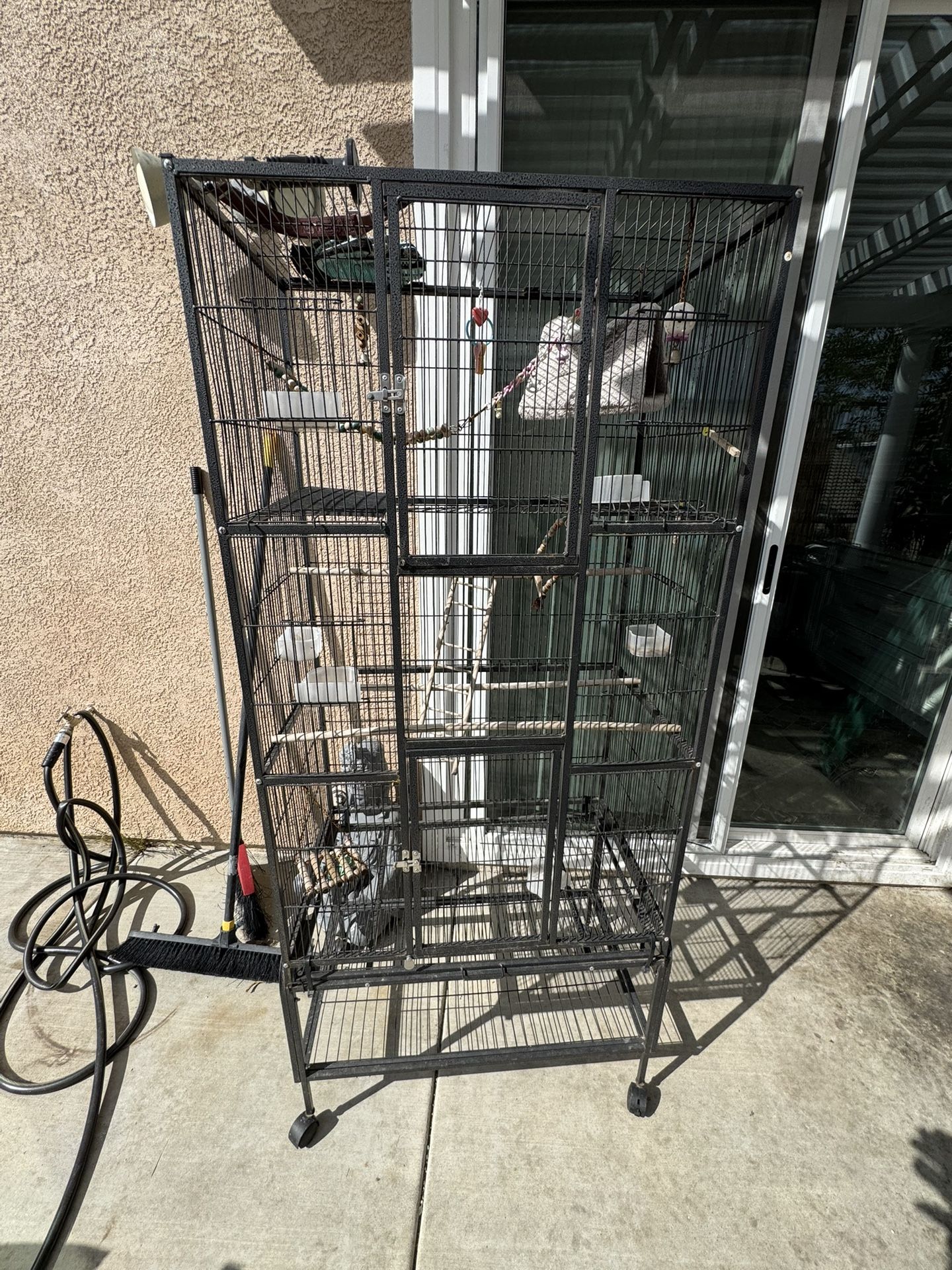 Bird Cage