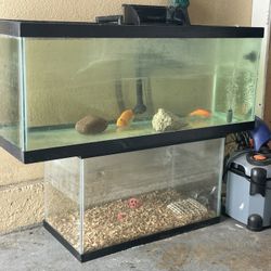 Fish Tank