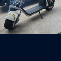 Electric Fat Tire Scooter 2023