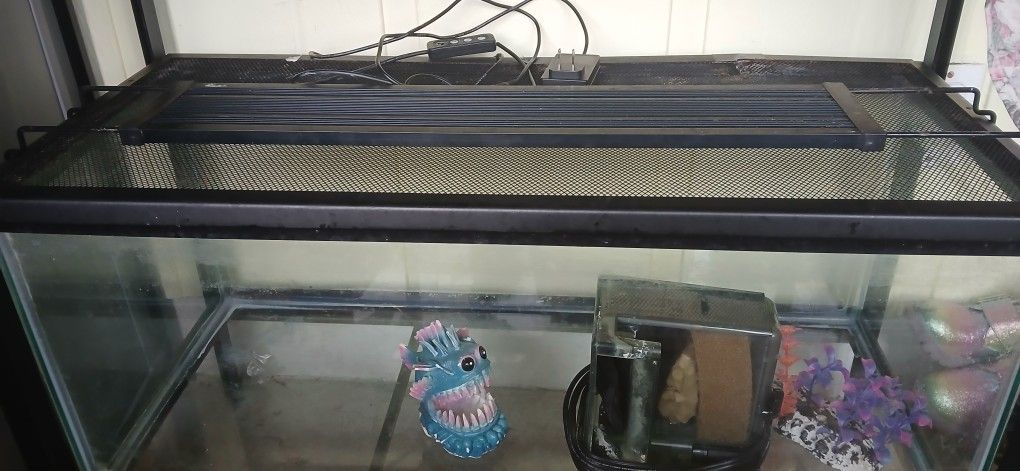 20 Gallon Tank