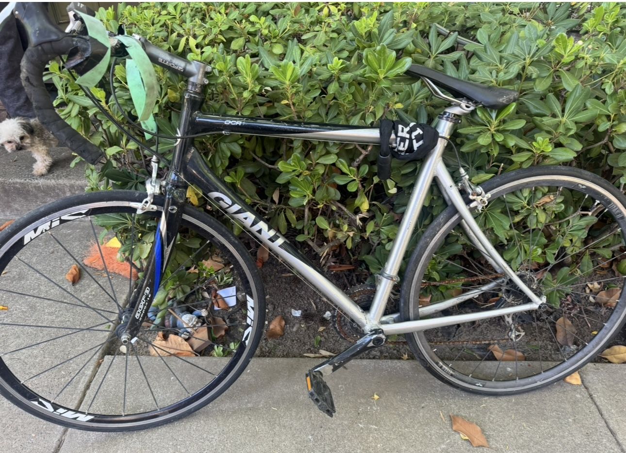 bike