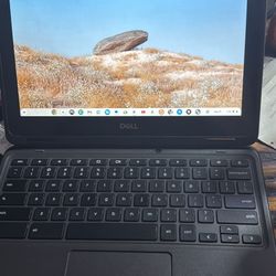Goggle Chrome Book