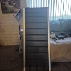 Telescoping Dog Ramp By PetSafe