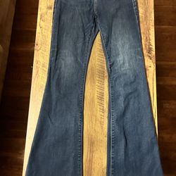 Express size 27 jeans