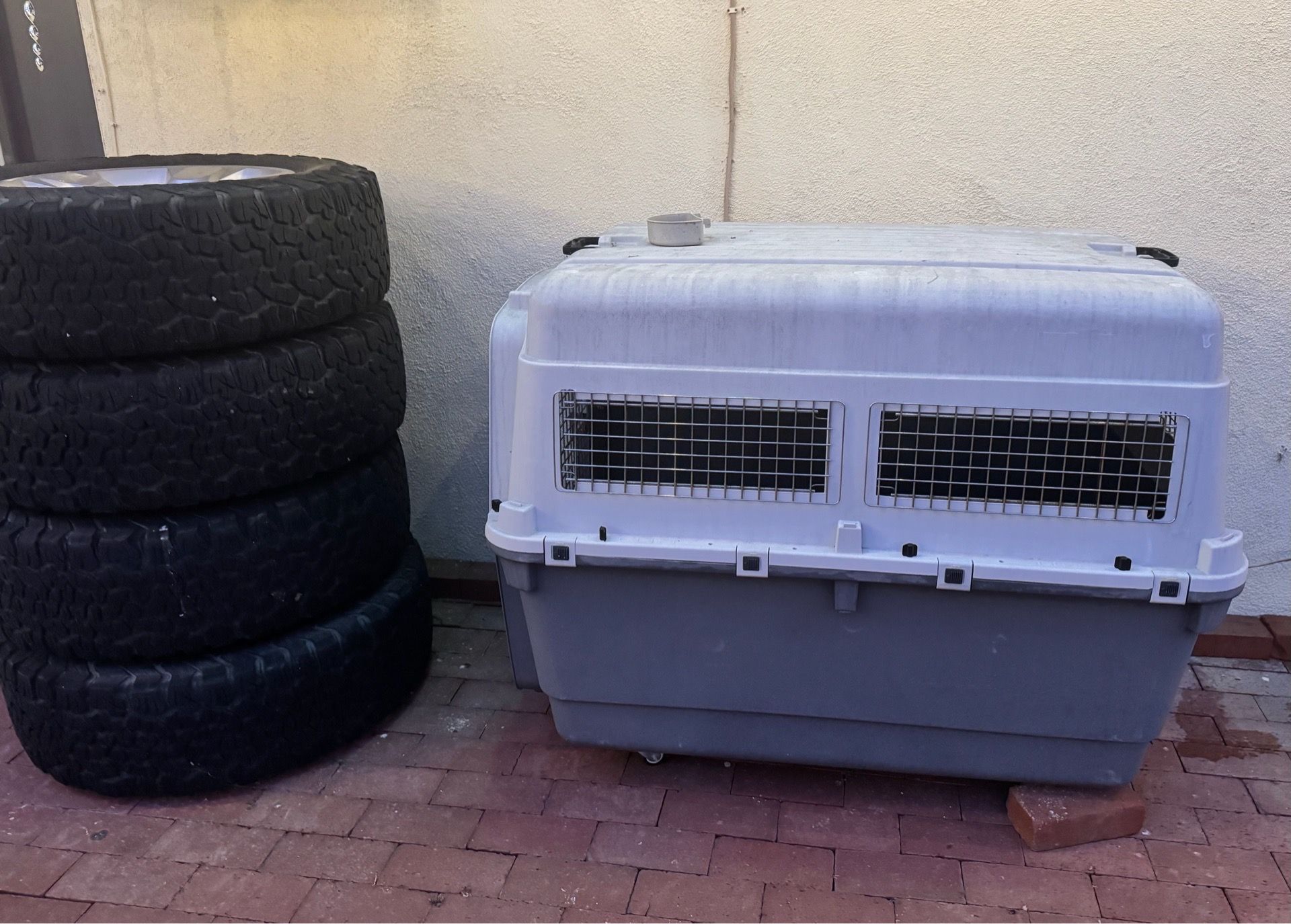 XL dog crate