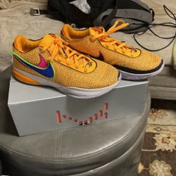 LeBron XX “JAMES GANG” O MULTI-COLOR basketball Shoes