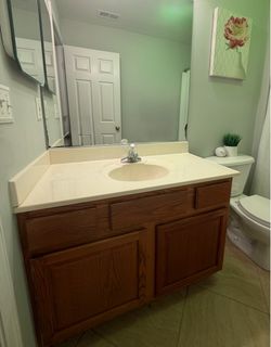 Bathroom Vanity & Sink