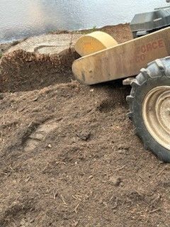 Stump Grinding