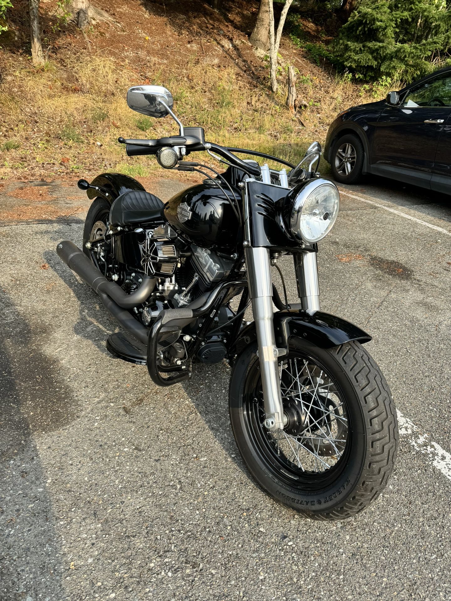 2015 Harley Davidson Soft tail slim 103