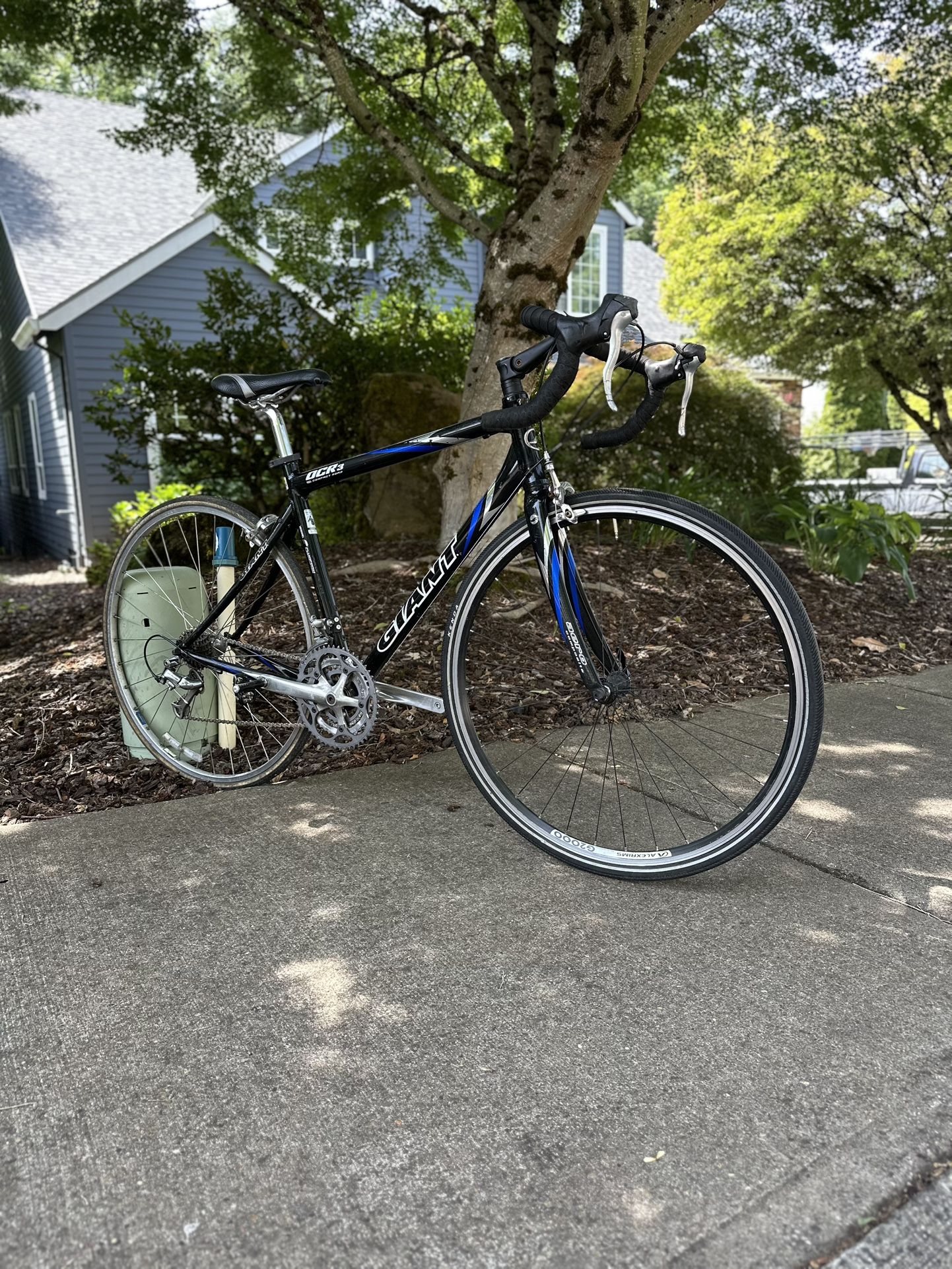 Giant Road Bike