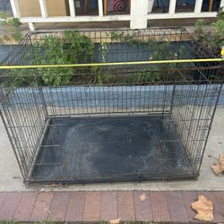 Cage/Jaula Grande 