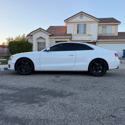 2010 Audi A5