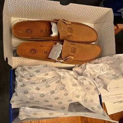 scientist since Revamp Your Closet with Fresh Birkenstock Designs!