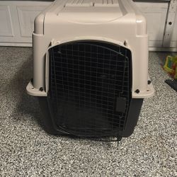 Pet kennel 