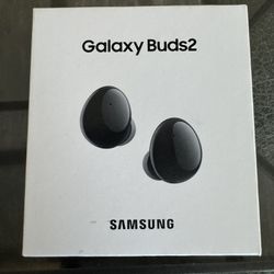 Samsung Galaxy Buds 2 + Charger