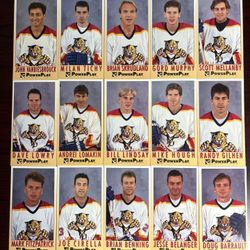 1(contact info removed) Fleer Power Play Florida Panthers Complete Set Of 15 Cards