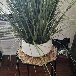 Medium Size Planter With Side Table 