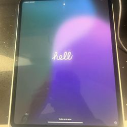 iPad Pro m4 13 Inch Cellular 256gb Open Box New