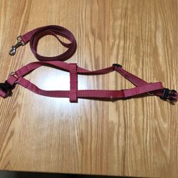 Dog Training Leaching/harness 