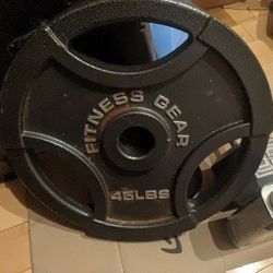 Fitness Gear 45 Lbs Olympic Plate 