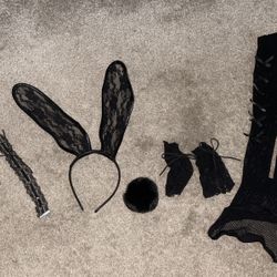 Bunny costume 