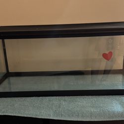 Reptile 20 Gallon starter kit