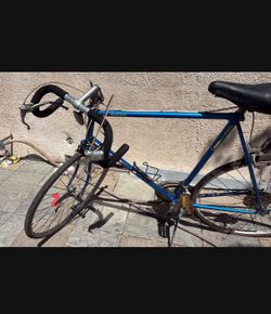 1970’s 80’s Schwinn vintage world sports bicycle