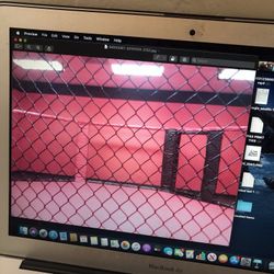 Mixed Martial arts MMA Fight Cage