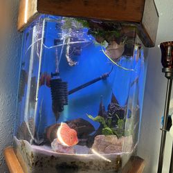 Freshwater Aquarium Fish Tanks And Accessories 