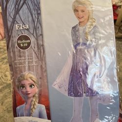 Elsa Costume With Wig