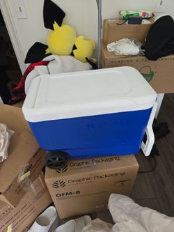 Cooler