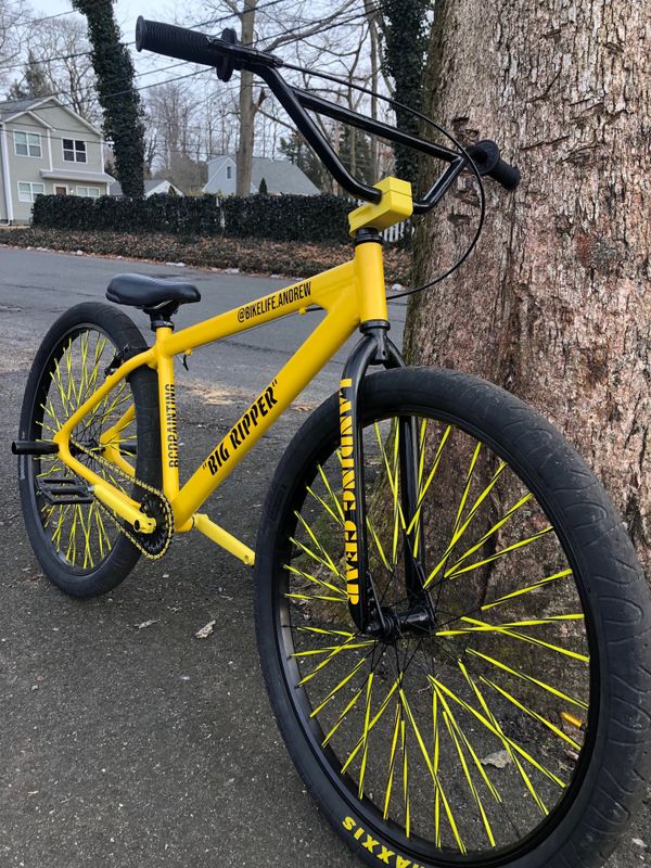 beach cruiser with gears