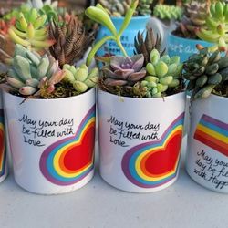 Rainbow MUG PLANTS 