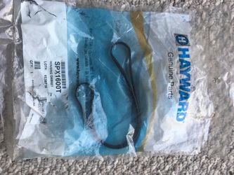 Hayward Housing Gasket