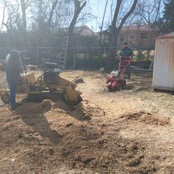 Stump Removal Free Estimate 