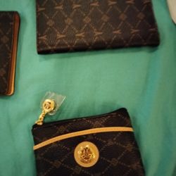 Coin Purse N Passport Carrier