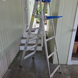 Ladder 6 Foot