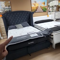 Queen Bedframe Beautiful Display Or New