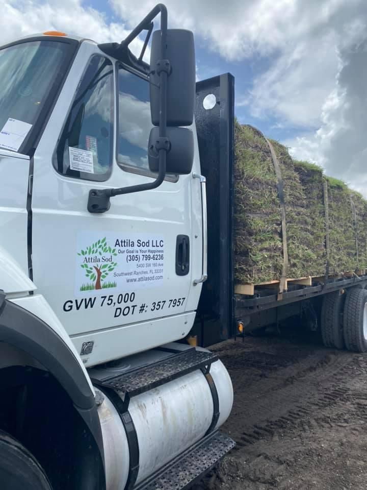 Big Offer!!! Sod Pallets for Sale in Fort Lauderdale, FL OfferUp