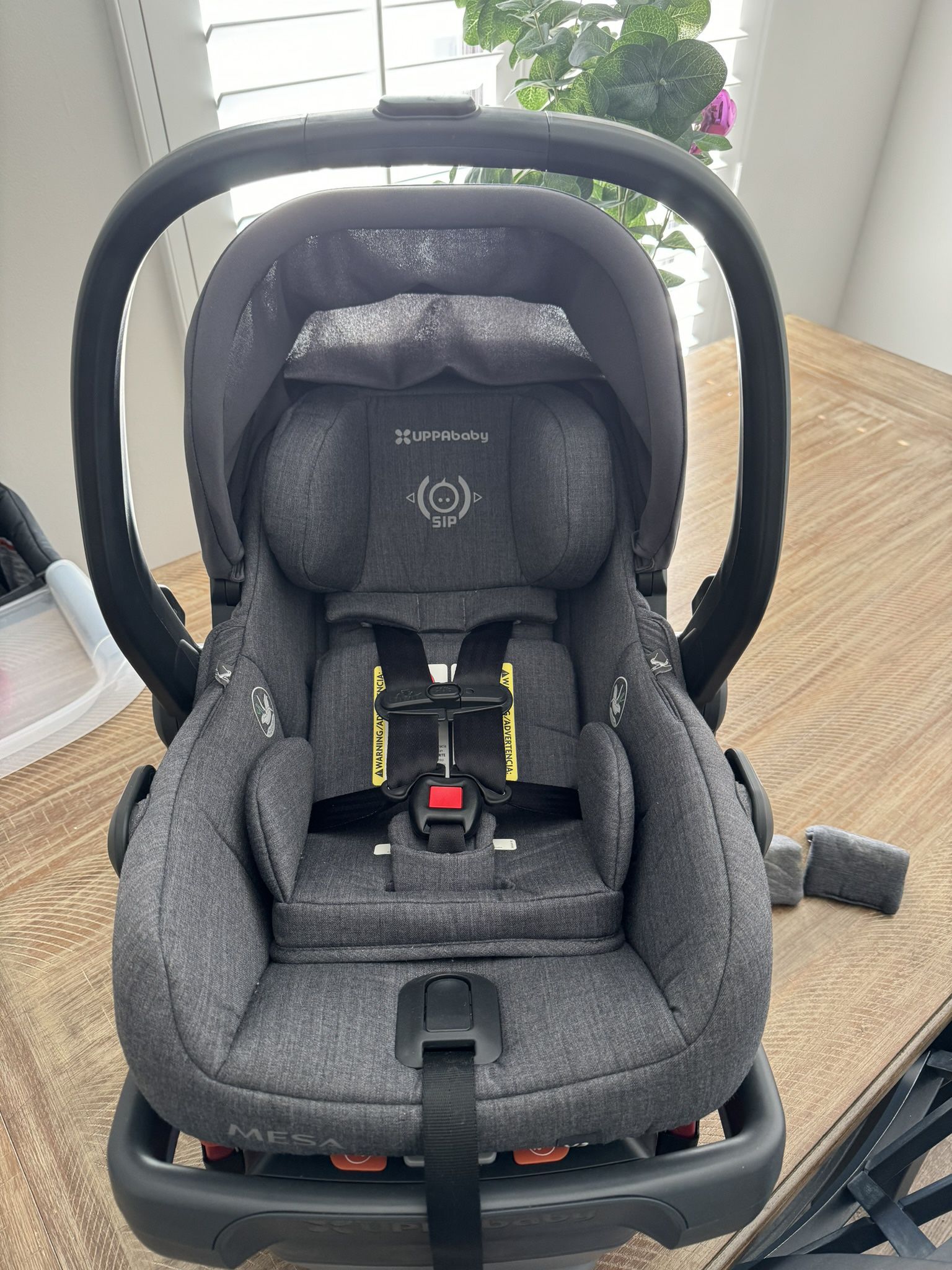 Uppa Baby Mesa V2 Car seat And Base 